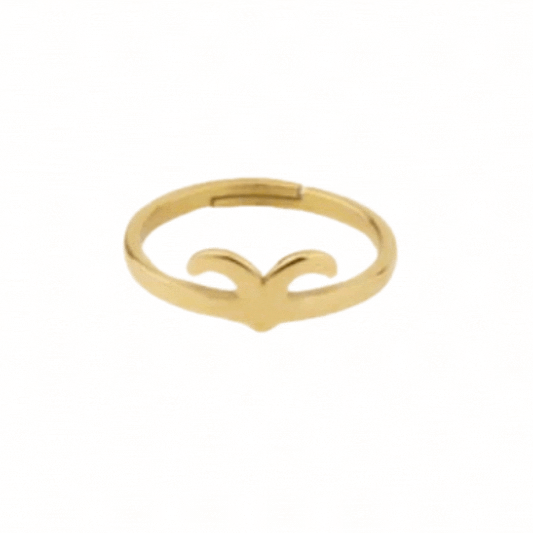 Anillo Venture Zodiaco | KHLOE JOYAS | Anillos,Color Oro,Zodiaco