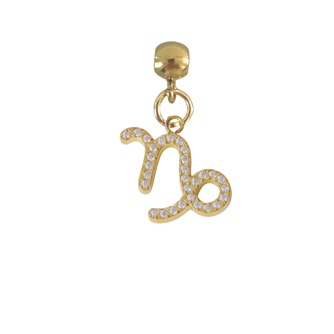 Charm Capricornio CZ