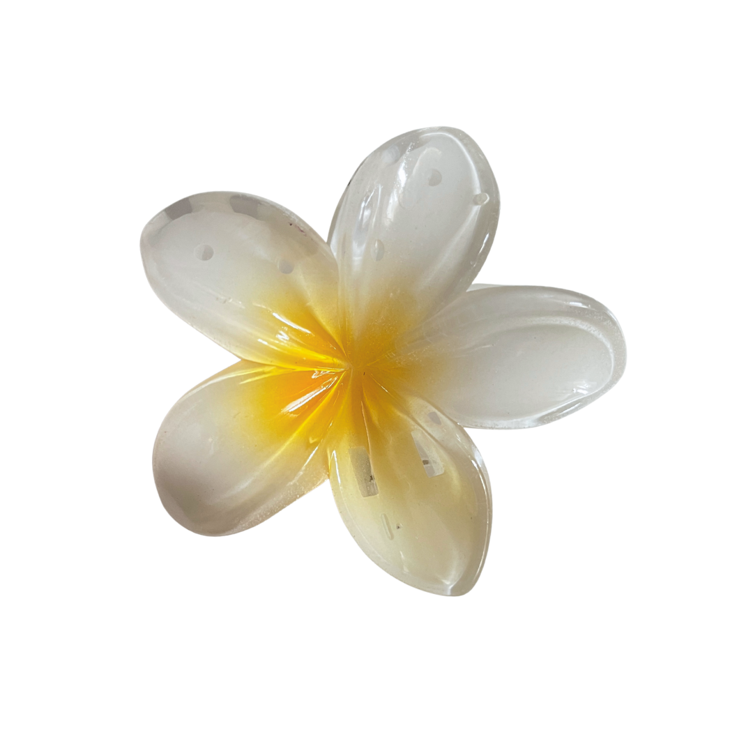 Pinza Pelo Flor Tropical