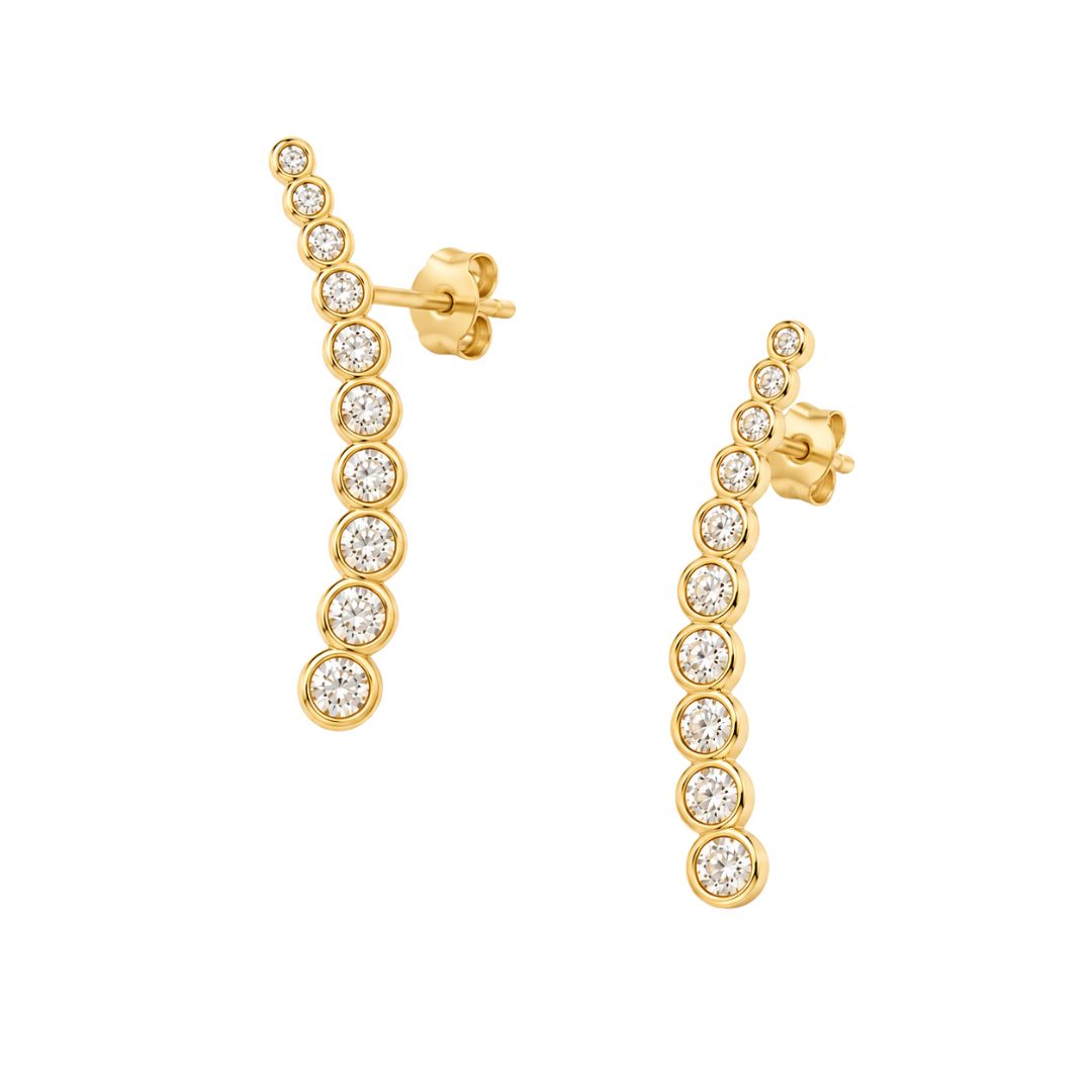 Elegant gold and diamond earrings