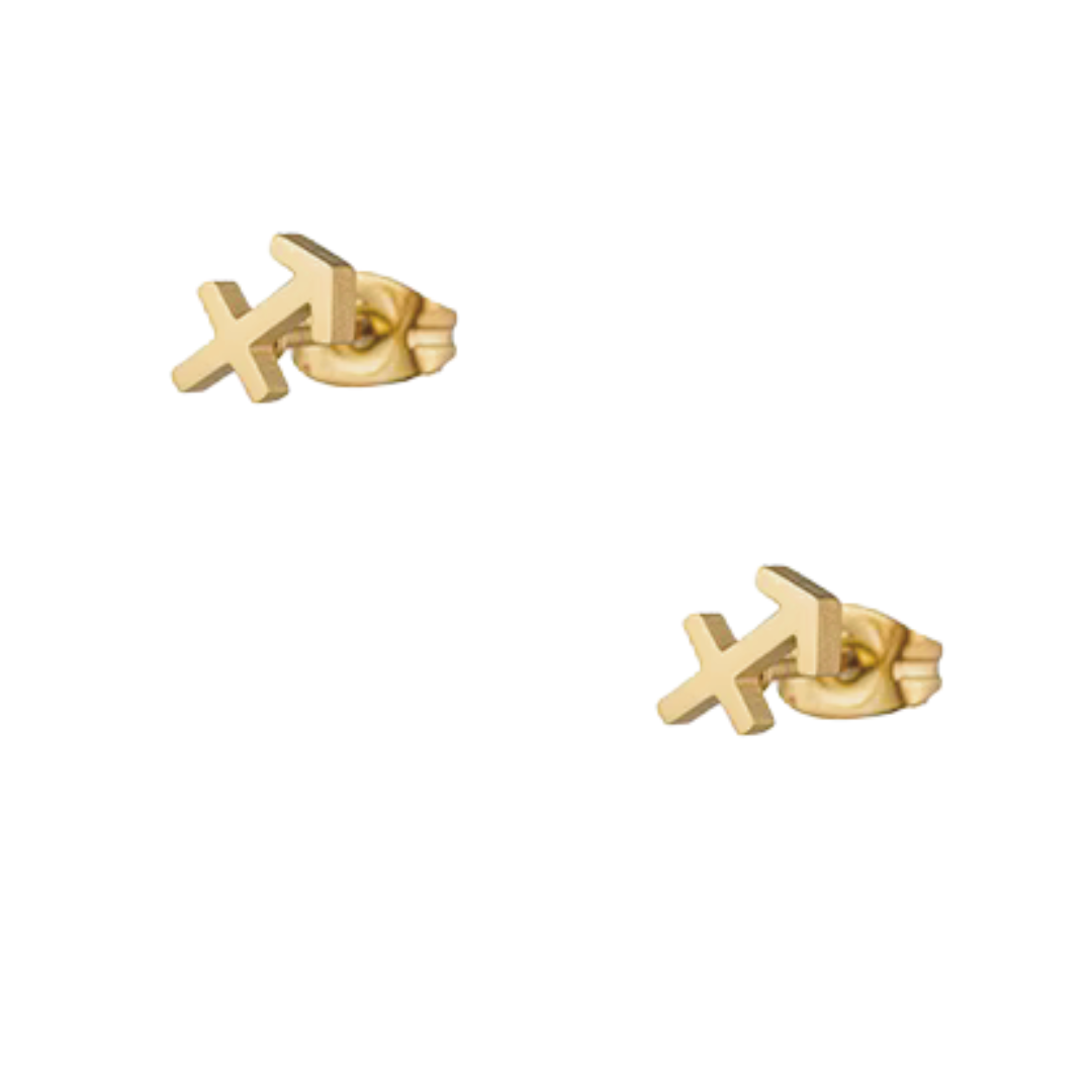 Pendientes Venture Zodiaco