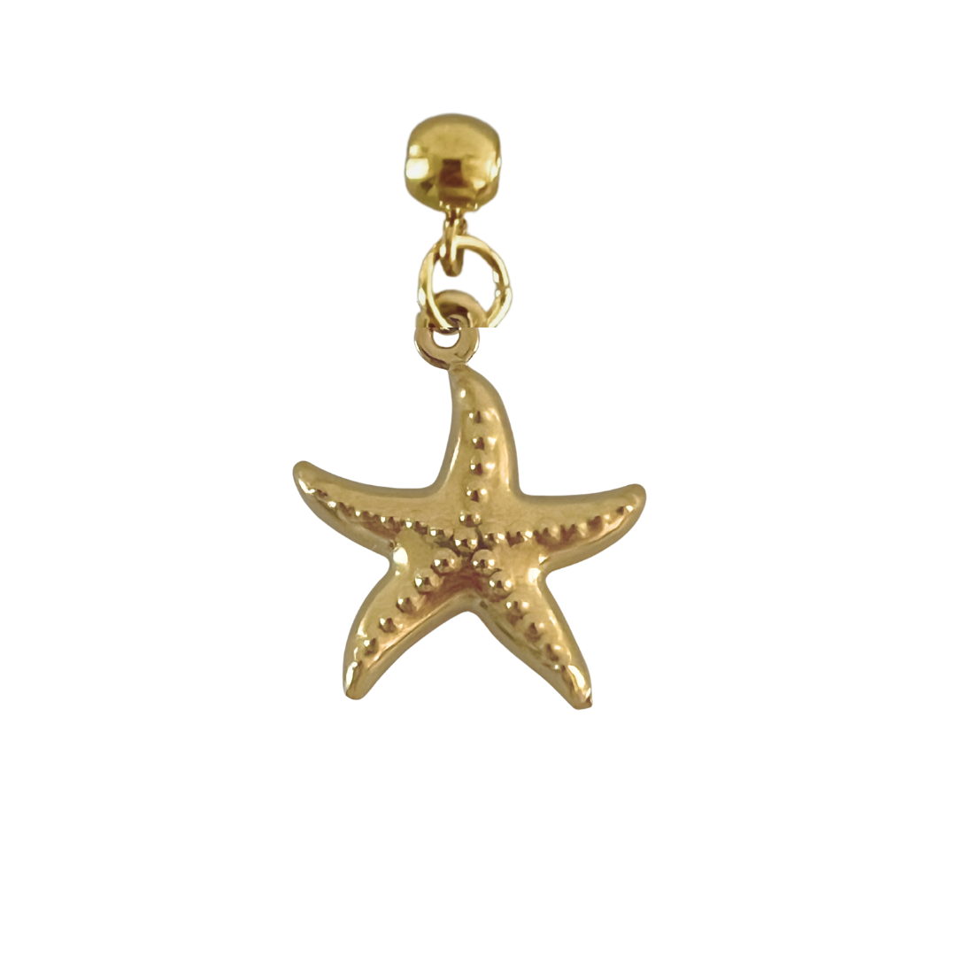 Charm Starfish