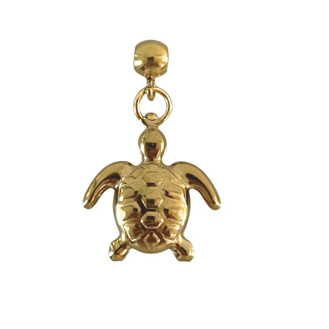 Charm Tortuga