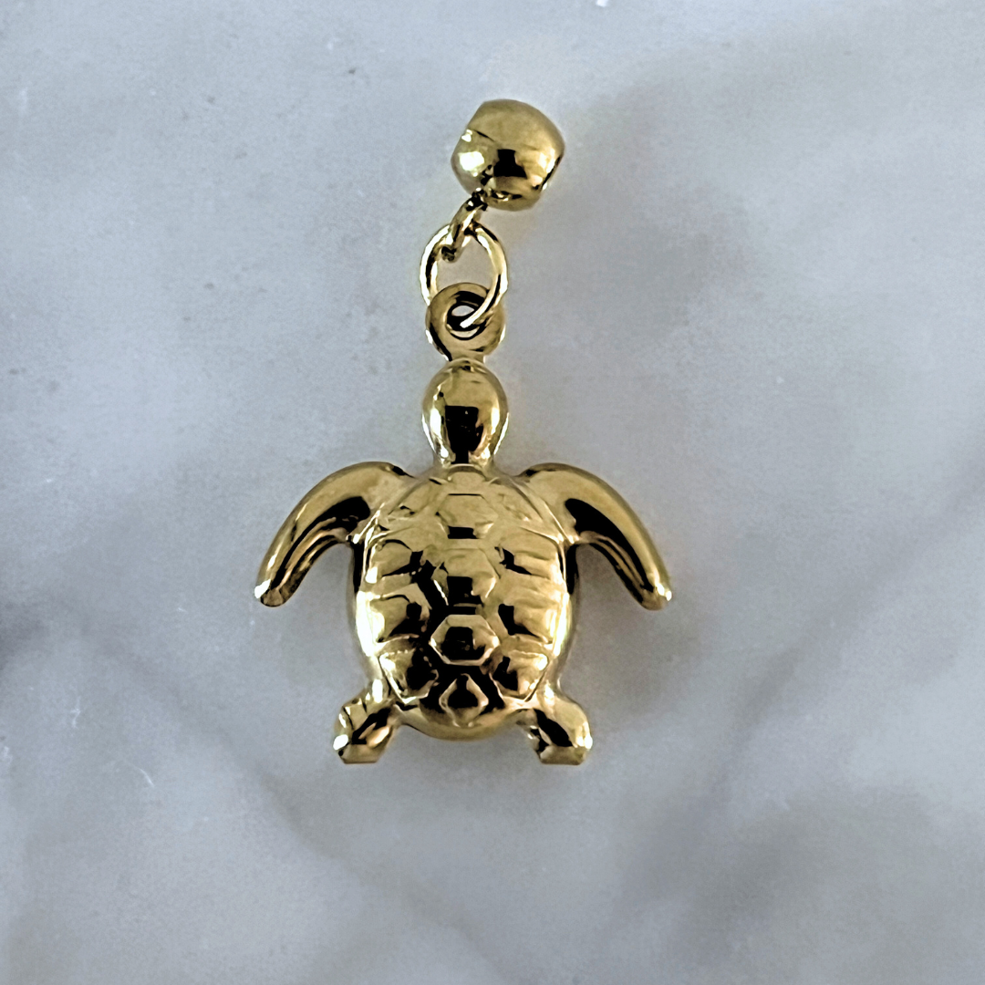 Charm Tortuga