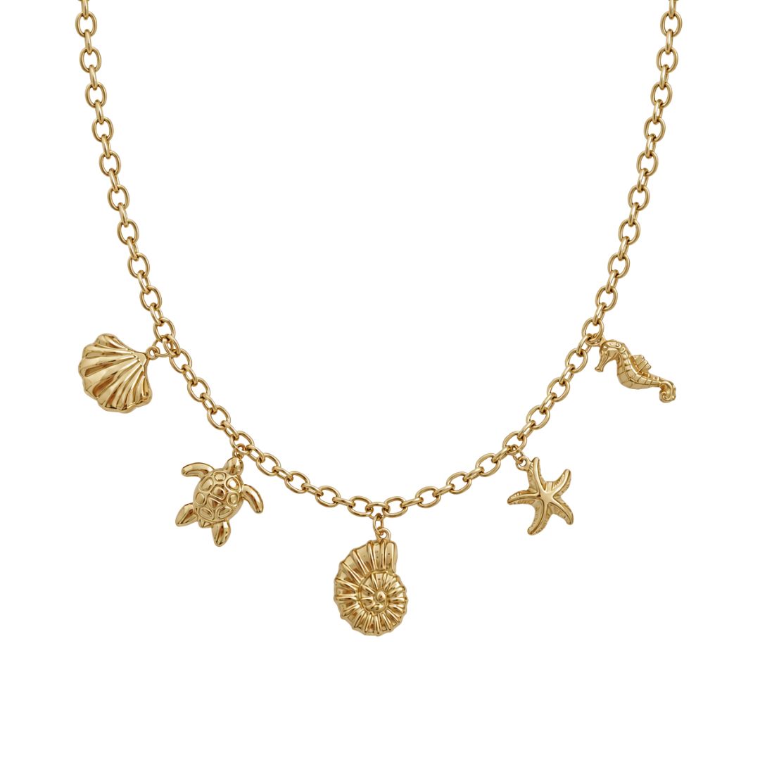 Collar Marine