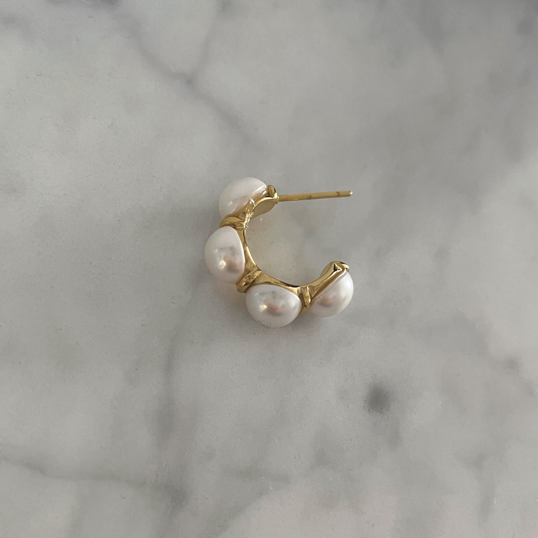 Pendientes Posidonia