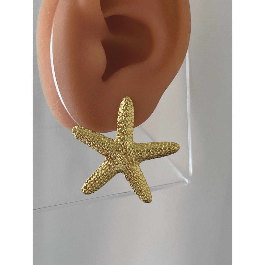Starfish Earrings